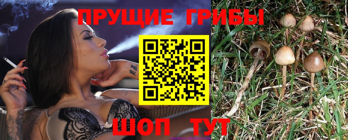 Галлюциногенные грибы ЛСД  Вход с VPN  Пенза 
